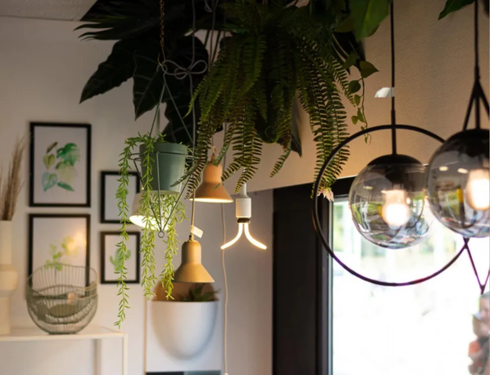 Schätze Bergen, Concept Store, überreicht Dekorationslichter und grüne Blätter